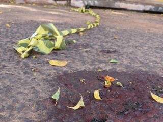 Manchas de sangue ficaram pelo asfalto (Foto: Henrique Kawaminami) 