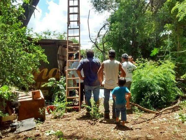 Homem morre atingido por galho e fica pendurado ao cortar &aacute;rvore