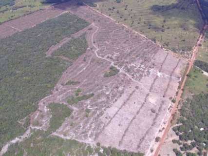 Desesperado, proprietário de sítio em Rio Verde filma desmatamento em APA