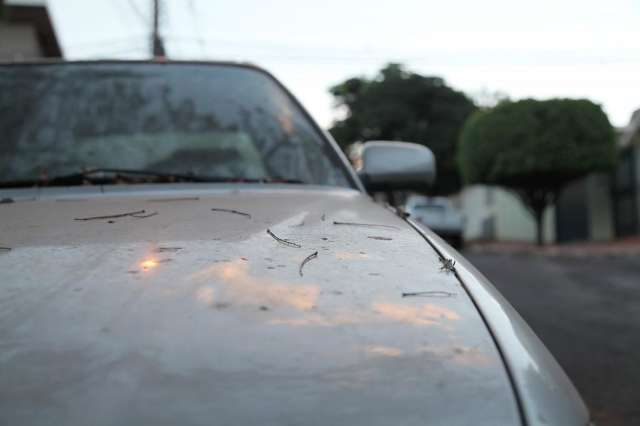 Nova frente fria  deve trazer chuva e temperatura amenas para MS