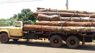 Carga de madeira ilegal apreendida pela PMA em assentamento no município de Anaurilândia (Foto: Divulgação/PMA)