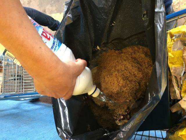 Procon encontra produtos vencidos e at&eacute; com larvas em supermercado