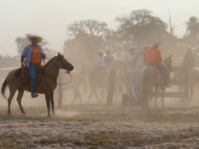 Cavalgada em grande estilo d&aacute; trabalho, mas garante conforto at&eacute; no Pantanal