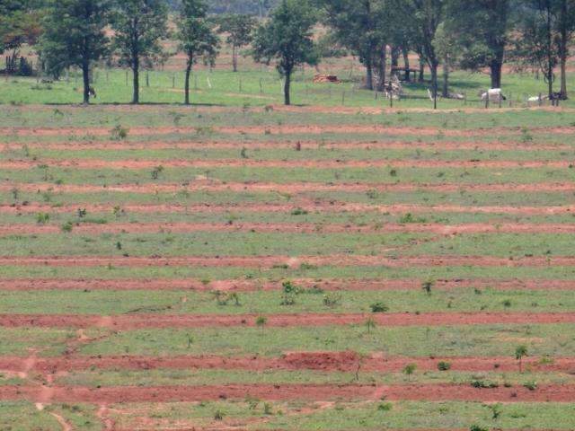 Programa garantiu produ&ccedil;&atilde;o de 27 bi de litros de &aacute;gua em fazendas da Capital