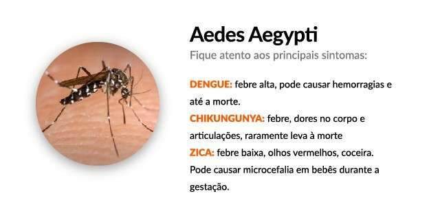 Agentes encontram focos do mosquito em pr&eacute;dio abandonado e dono foge