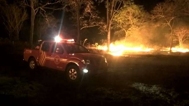 Dois inc&ecirc;ndios destroem 16 hectares de vegeta&ccedil;&atilde;o &agrave;s margens da BR 262