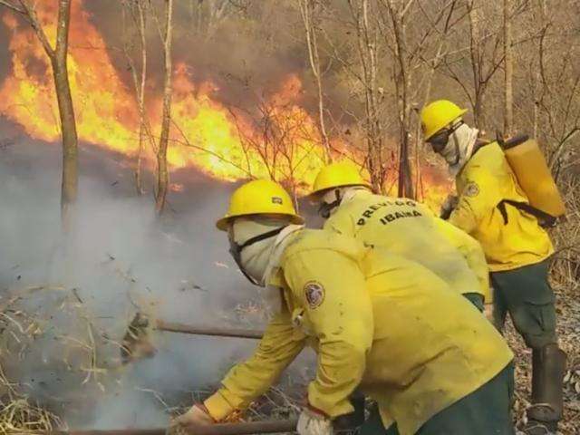 Queimadas atingem &aacute;rea equivalente a 3,5 mil campos de futebol no Pantanal