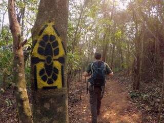 MPF aju&iacute;za a&ccedil;&otilde;es contra ocupa&ccedil;&otilde;es e cobra reparos no Parque da Ilha Grande