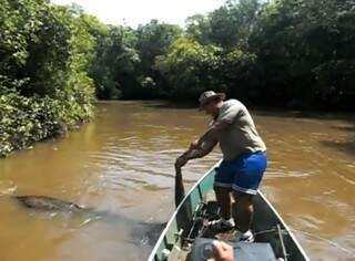 Betinho puxa o rabo da cobra e persegue o animal no rio. (Foto: Reprodução/ Youtube)