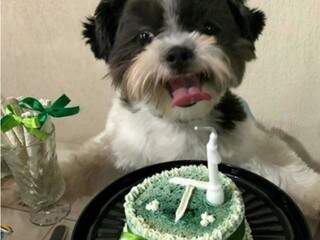 A carinha de felicidade do Théo, de quem vai ter o bolo só para ele (Foto: Reprodução Instagram)