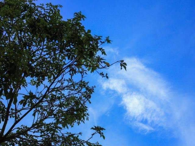 Outono vem chegando e a previs&atilde;o &eacute; de mais chuvas e leve queda na temperatura