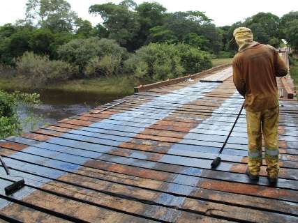 Orçada em R$ 2,7 milhões, licitação de pontes no Pantanal fracassa