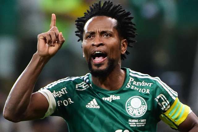Palmeiras e Botafogo fecham rodada com adeus de Z&eacute; Roberto