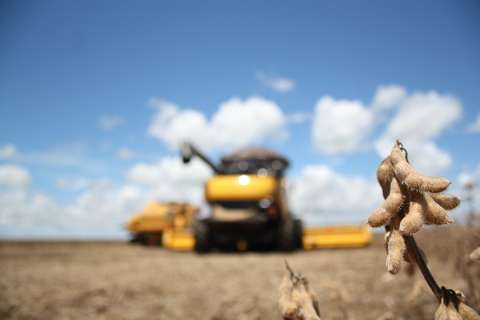 Associação lança colheita de 6,8 milhões de toneladas de soja dia 27