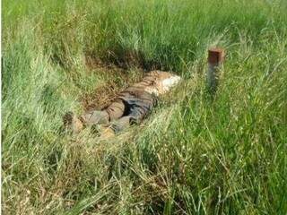 O corpo de Edson Colman foi encontrado na rodovia 485, trecho que liga Amambai a Aral Moreira / Foto: Moreira Produções)