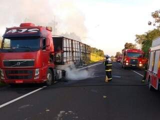 Duas pessoas ficam feridas em inc&ecirc;ndio em carreta na BR-419
