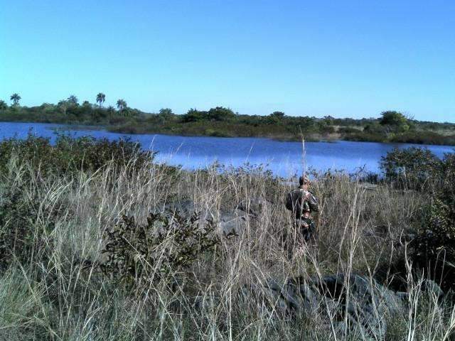 Pecuarista &eacute; multado em R$ 2,3 milh&otilde;es por criar gado em &aacute;rea de preserva&ccedil;&atilde;o