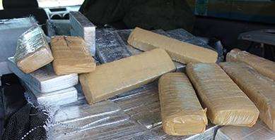 PRE apreende quase uma tonelada de maconha no interior do Estado