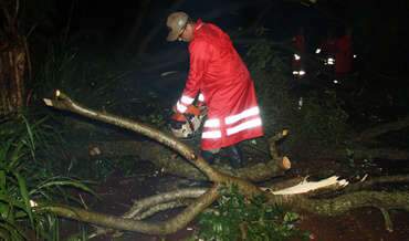  Vendaval e chuva derrubam árvores e complicam trânsito na MS-376