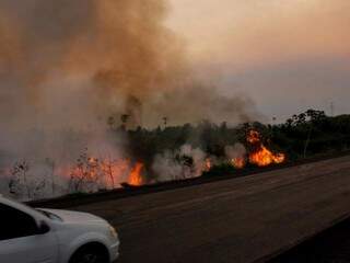 No Pantanal sul-mato-grossense foram registrados 1.709 focos de fogo entre o dia 1° e 29 de outubro (Foto: Chico Ribeiro)