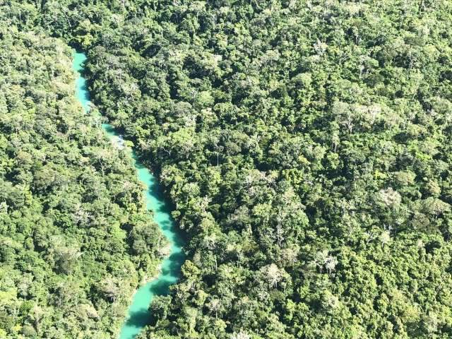 Banhados desprotegidos s&atilde;o alerta de que Rio Perdido pode desaparecer