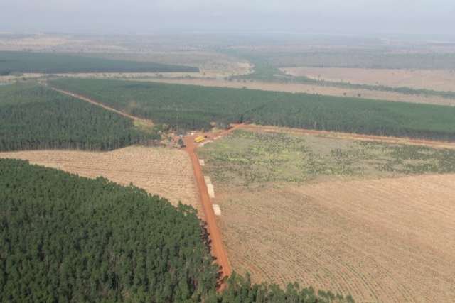 Gigante da celulose acusa concorrente de copiar tecnologia em Tr&ecirc;s Lagoas