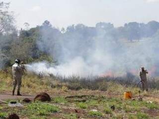 Bombeiros fazem combate às chamas na área na Mata do Segredo (Foto: Kisie Ainoã)