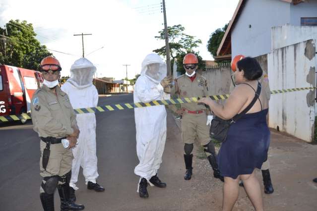 Ataque de abelhas fere homem e mata c&atilde;o no bairro Santa Em&iacute;lia