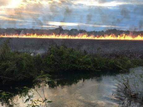 Raios atingem área banhada do rio Formoso e incêndio já dura três dias
