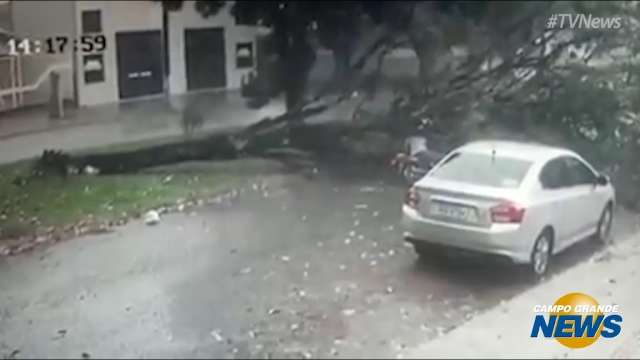 Impressionante: confira o momento em que &aacute;rvore cai sobre motociclista