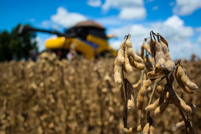 Receita Federal arrecada 13% a mais em fevereiro, em fun&ccedil;&atilde;o da agropecu&aacute;ria