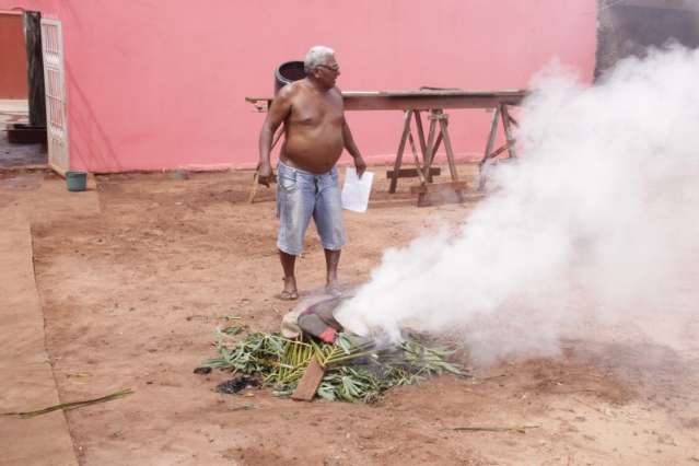 Idoso tem parada card&iacute;aca ao ser picado por abelhas no Jardim Anache