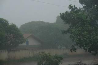 Município de Amambai teve geada moderada nesta madrugada. (Foto: AmambaiNotícias)