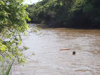 Bombeiro procura pelo idoso no rio. (Foto: Divulgação/ Bombeiros)