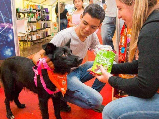 &quot;Show pet&quot; ter&aacute; palestras e at&eacute; parque para c&atilde;es na Feira Central 