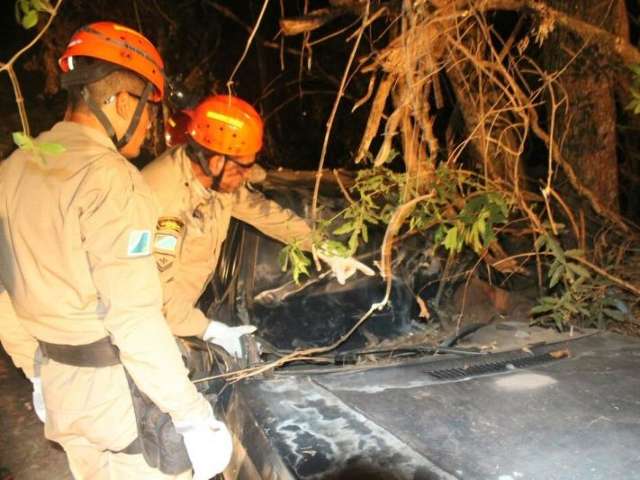 Crian&ccedil;a de cinco anos anda por 1km em busca de socorro para os pais