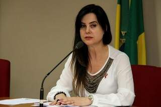 Mara Caseiro, presidente da CPI, disse que vai ser definido um cronograma para 2016 (Foto: Wagner Guimarães/ALMS)
