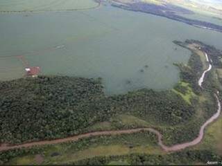 Lavoura de soja plantada ao lado do Rio Dourados (Foto: Divulgação/MPF)