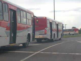 Novos ônibus chegando à Capital (Foto: Yarima Mecchi)