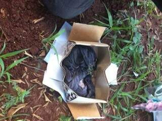O feto foi encontrado em março deste ano enterrado em uma caixa (Foto: divulgação/Polícia Civil) 