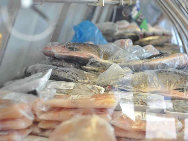  Pre&ccedil;os de pescados podem cair at&eacute; domingo, revela pesquisa do Procon