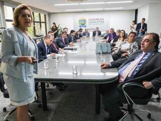 Secretária Maria Cecília Amêndola em reunião com os deputados estaduais (Foto: Assessoria/ALMS)