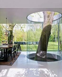 Esta casa foi construída ao redor de uma árvore! Isolada por um vidro que a separa da área social da sala de jantar, o que se vê é apenas o tronco já que a copa da planta recobre a residência.