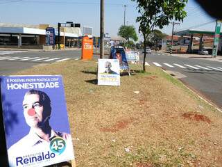 Outras placas estavam com nariz de palhaço e bigode na avenida Mato Grosso (Foto: Rodrigo Pazinato)