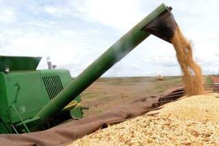 Estimativa é de aumento na safra de grãos em 2019, segundo o IBGE. Foto: Agência Brasil.