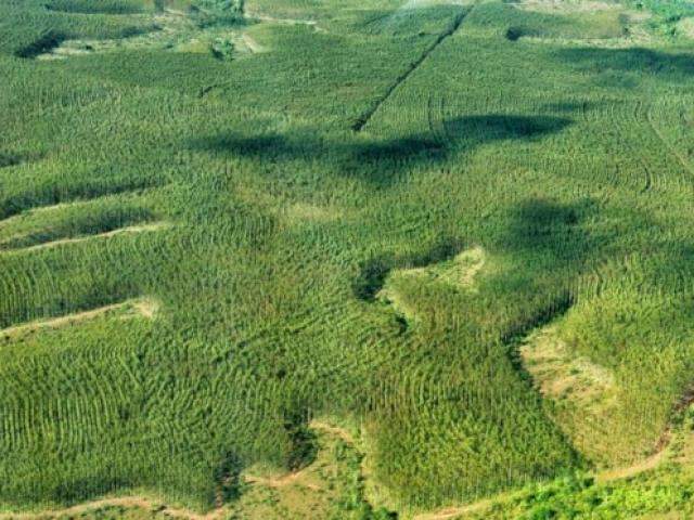 Justi&ccedil;a derruba liminar que vetava uso de recursos de fundo ambiental