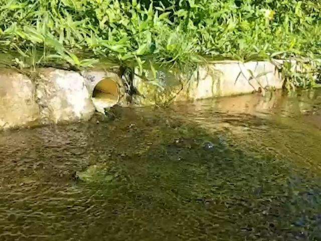 &Aacute;gua que &ldquo;brota&rdquo; na cal&ccedil;ada da Nelly Martins incomoda vizinhos