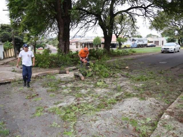 Galho de &aacute;rvore cai, interdita rua e assusta moradores do Taquarussu