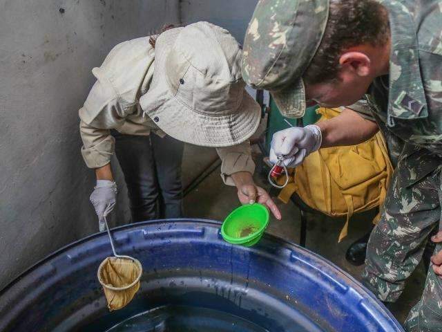 Vacina contra dengue come&ccedil;a a ser vendida na Capital em agosto