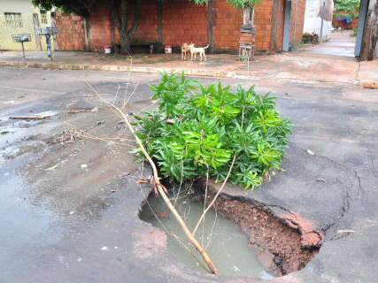  Situação piora e buraco no Jardim Marabá acumula sujeira e ratos